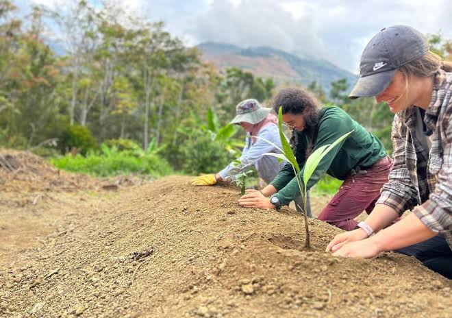 Environmental Conservation